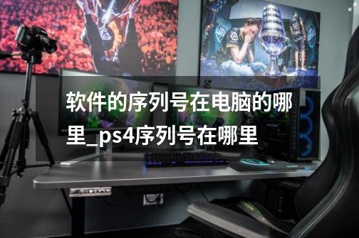 软件的序列号在电脑的哪里_ps4序列号在哪里-第1张-游戏相关-智辉科技