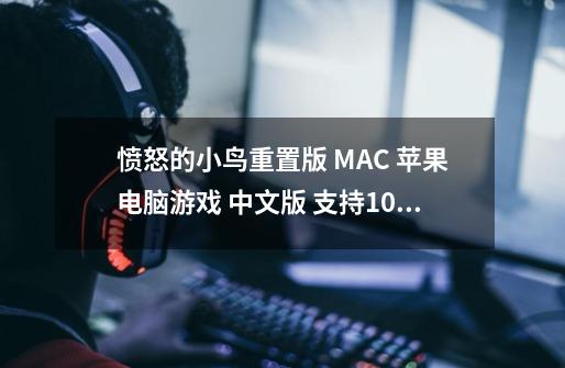 愤怒的小鸟重置版 MAC 苹果电脑游戏 中文版 支持10.15 11 12 13-第1张-游戏相关-智辉科技