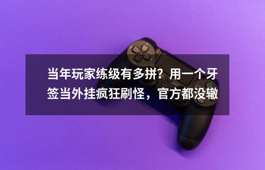 当年玩家练级有多拼？用一个牙签当外挂疯狂刷怪，官方都没辙-第1张-游戏相关-智辉科技