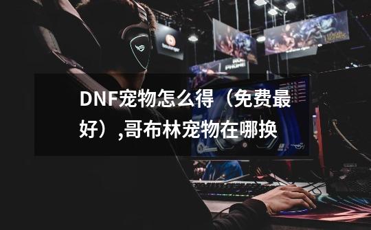 DNF宠物怎么得（免费最好）,哥布林宠物在哪换-第1张-游戏相关-智辉科技