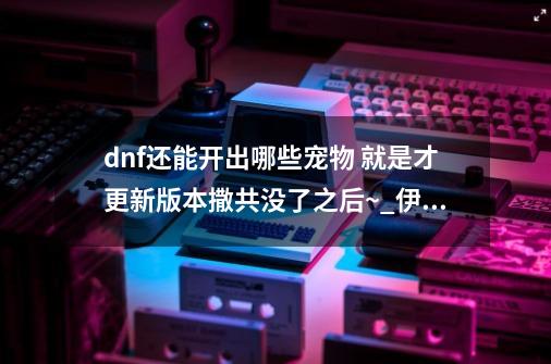 dnf还能开出哪些宠物 就是才更新版本撒共没了之后~_伊尔本宠物升级后的-第1张-游戏相关-智辉科技