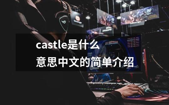 castle是什么意思中文的简单介绍-第1张-游戏相关-智辉科技