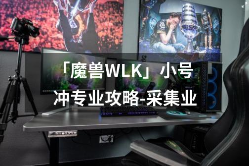 「魔兽WLK」小号冲专业攻略-采集业-第1张-游戏相关-智辉科技