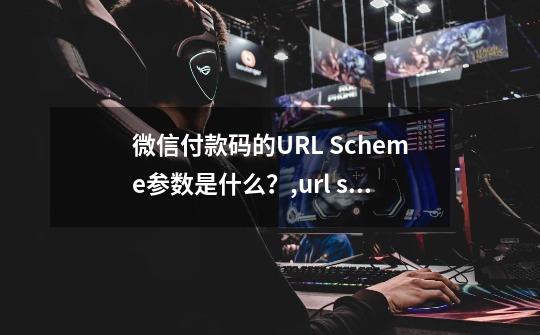 微信付款码的URL Scheme参数是什么？,url scheme代码大全-第1张-游戏相关-智辉科技