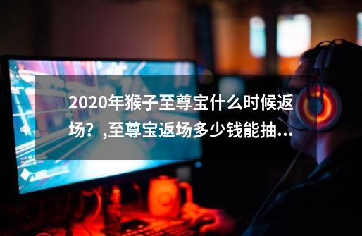 2020年猴子至尊宝什么时候返场？,至尊宝返场多少钱能抽到-第1张-游戏相关-智辉科技