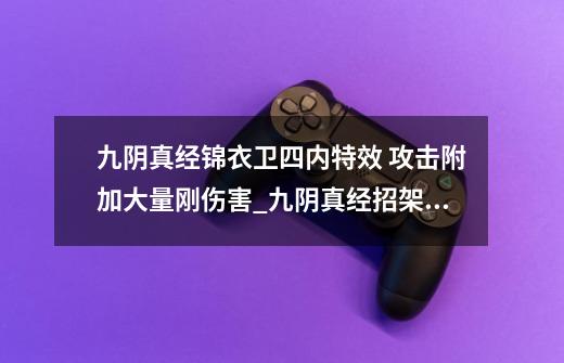 九阴真经锦衣卫四内特效 攻击附加大量刚伤害_九阴真经招架耐力怎么计算的-第1张-游戏相关-智辉科技