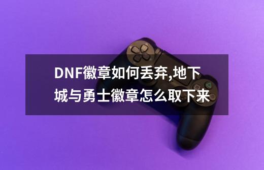 DNF徽章如何丢弃,地下城与勇士徽章怎么取下来-第1张-游戏相关-智辉科技