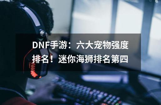 DNF手游：六大宠物强度排名！迷你海狮排名第四-第1张-游戏相关-智辉科技