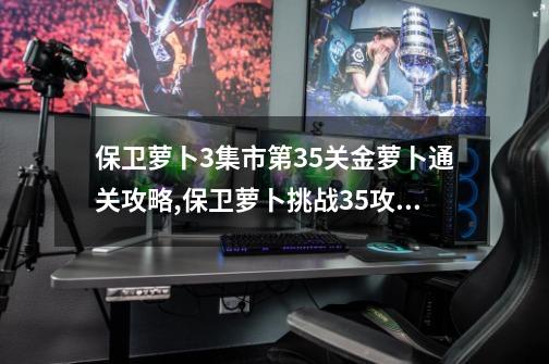 保卫萝卜3集市第35关金萝卜通关攻略,保卫萝卜挑战35攻略-第1张-游戏相关-智辉科技