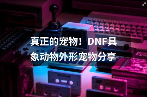 真正的宠物！DNF具象动物外形宠物分享-第1张-游戏相关-智辉科技