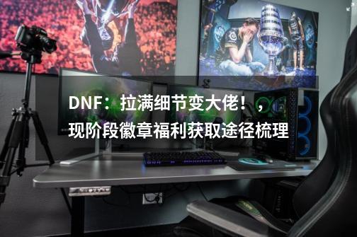 DNF：拉满细节变大佬！，现阶段徽章福利获取途径梳理-第1张-游戏相关-智辉科技