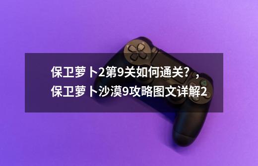 保卫萝卜2第9关如何通关？,保卫萝卜沙漠9攻略图文详解2-第1张-游戏相关-智辉科技