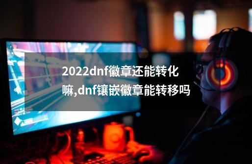 2022dnf徽章还能转化嘛,dnf镶嵌徽章能转移吗-第1张-游戏相关-智辉科技