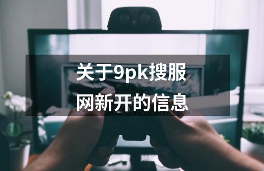 关于9pk搜服网新开的信息-第1张-游戏相关-智辉科技