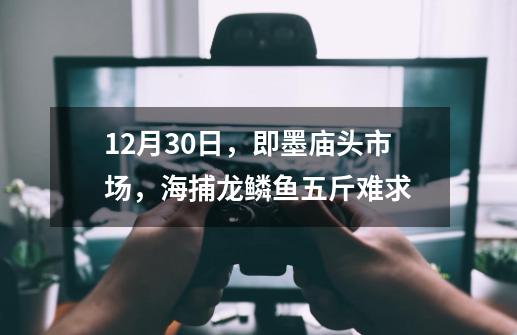 12月30日，即墨庙头市场，海捕龙鳞鱼五斤难求-第1张-游戏相关-智辉科技