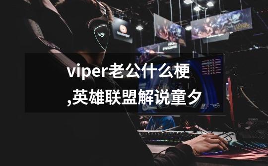 viper老公什么梗,英雄联盟解说童夕-第1张-游戏相关-智辉科技