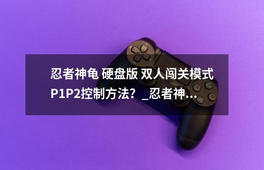 忍者神龟 硬盘版 双人闯关模式P1.P2控制方法？_忍者神龟游戏pc单机-第1张-游戏相关-智辉科技